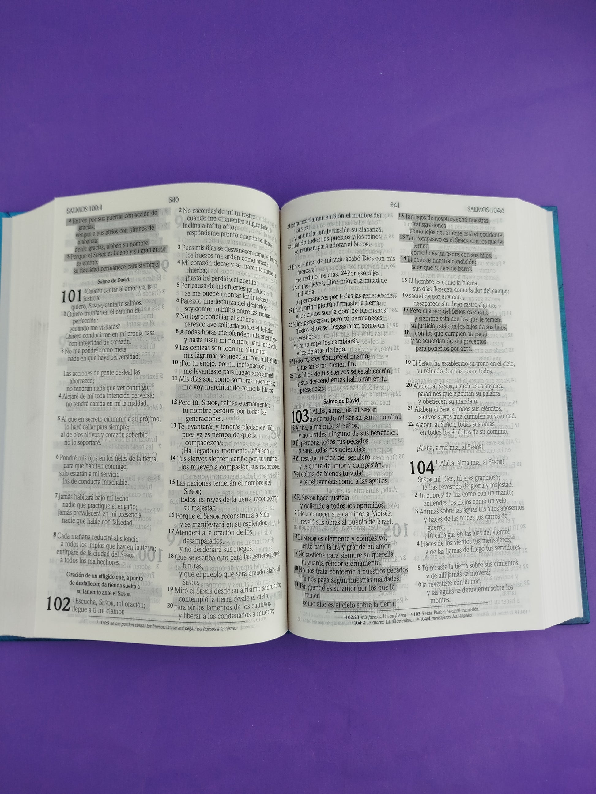 Biblia promesas nvi azul pasta dura by Nueva Versión Internacional