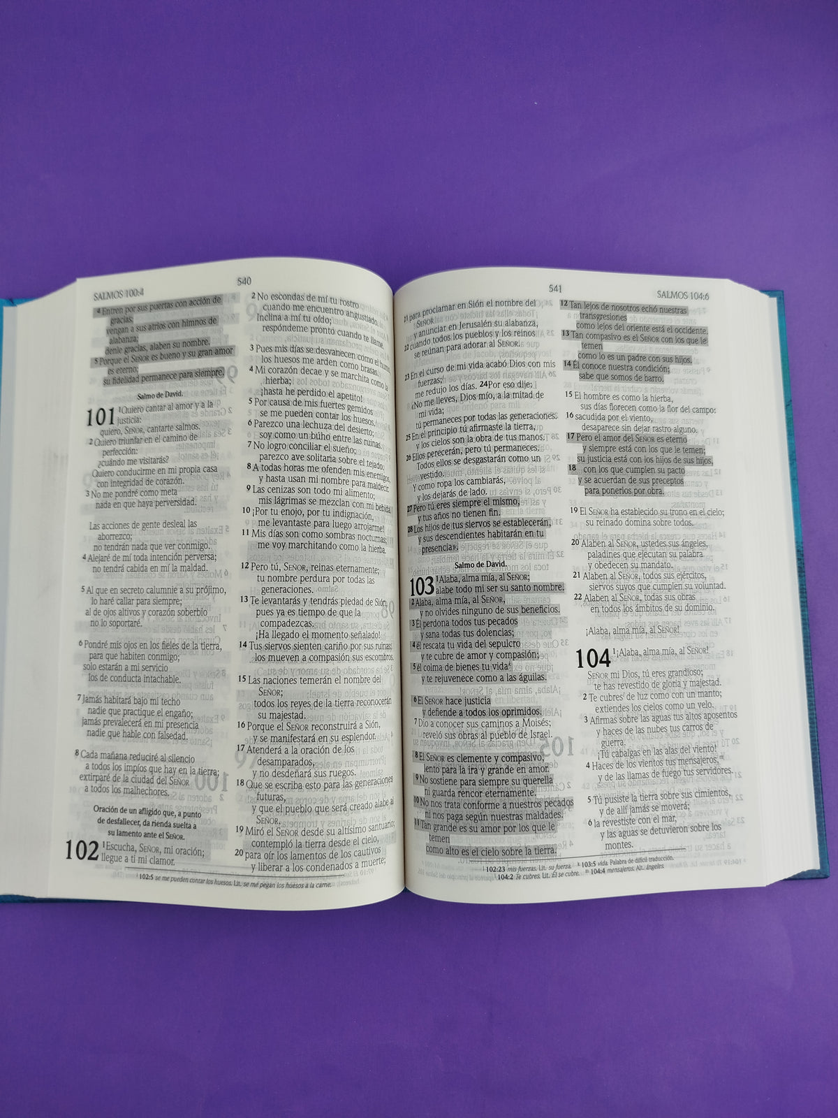 Biblia promesas nvi azul pasta dura by Nueva Versión Internacional
