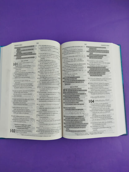 Biblia promesas nvi azul pasta dura by Nueva Versión Internacional