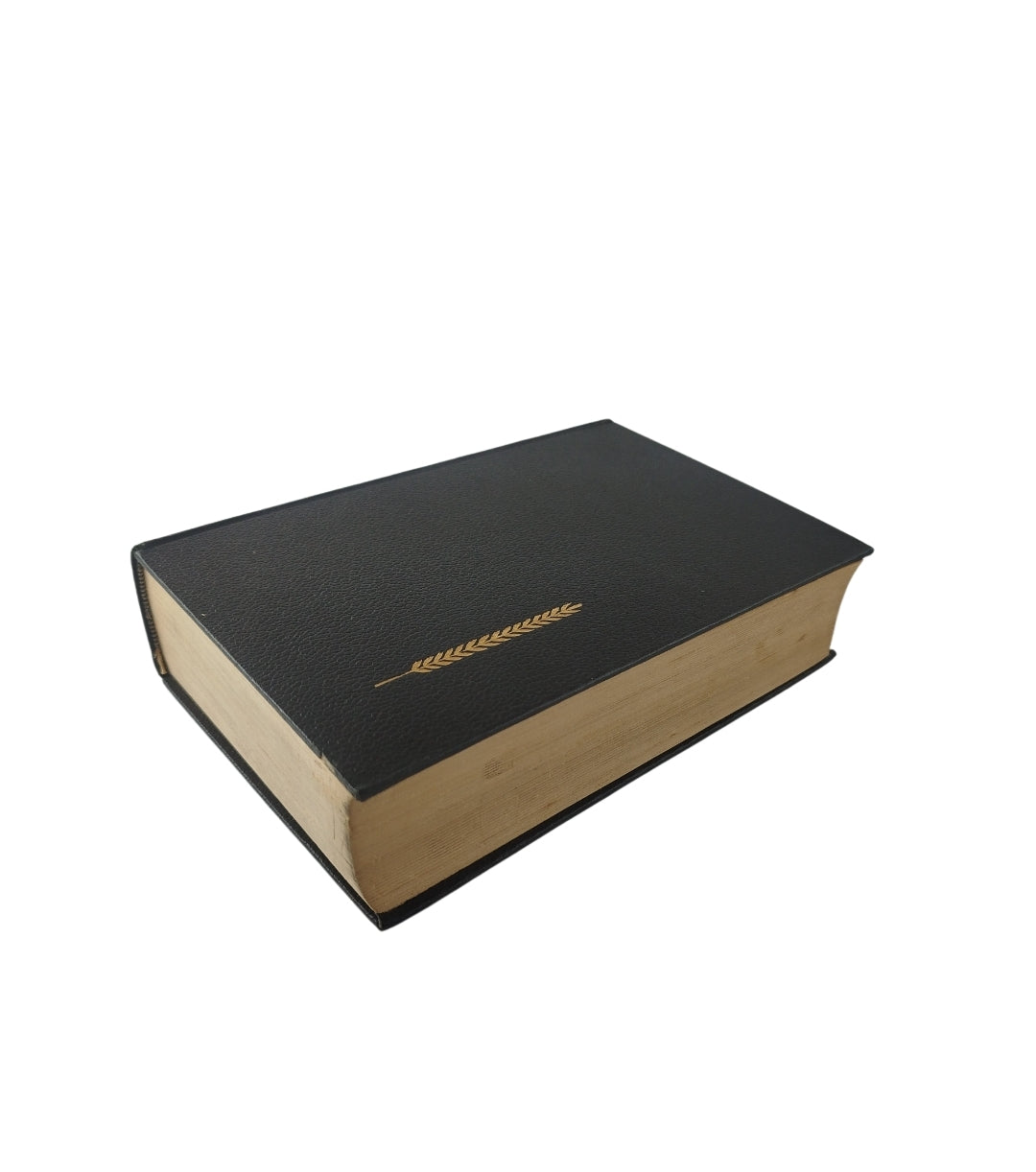 Ana Karenina by Leon Tolstoi