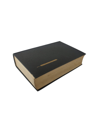Ana Karenina by Leon Tolstoi