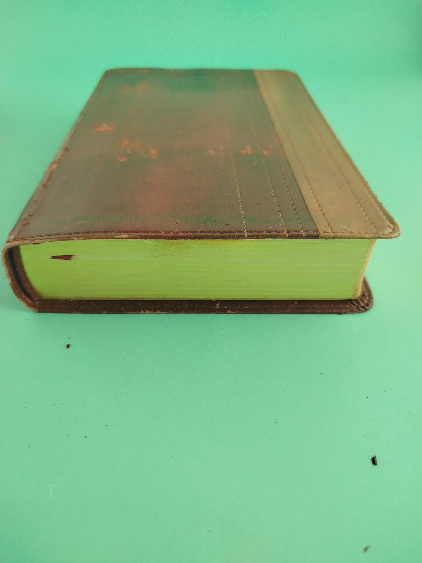 Biblia lectura fácil letra grande 1977 rvr