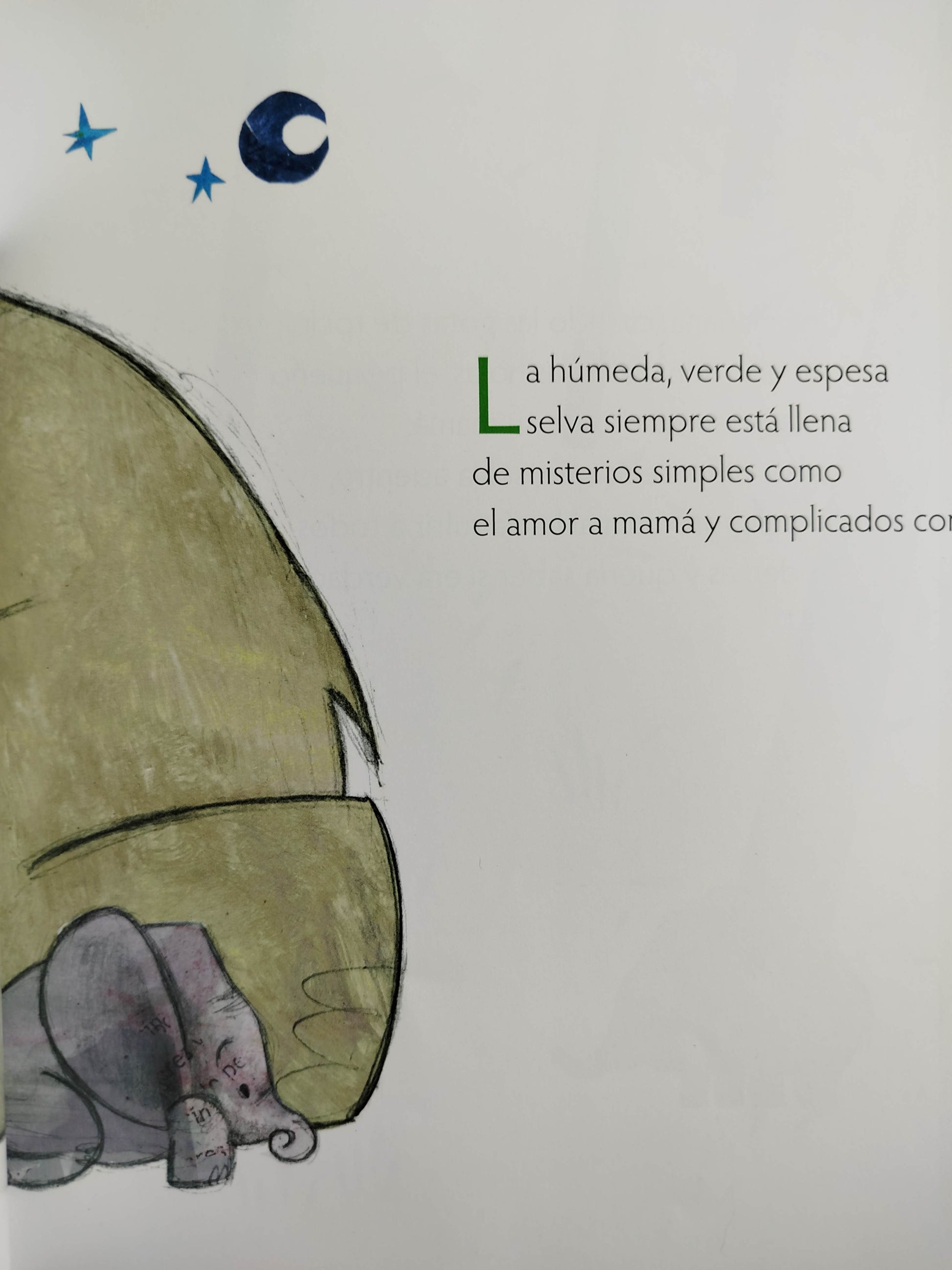 El secreto de la selva by Luisa Noguera Arrieta