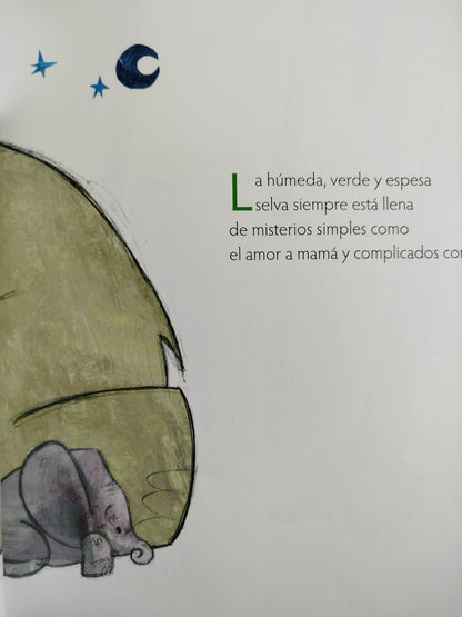El secreto de la selva by Luisa Noguera Arrieta