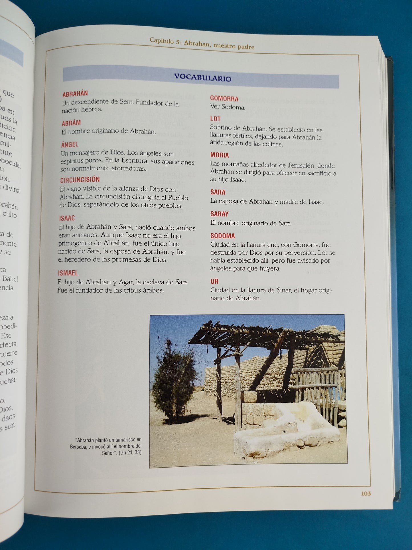 Comprender las escrituras curso completo para el estudio de la biblia