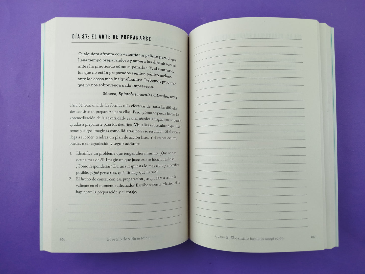 Diario de un estoico moderno