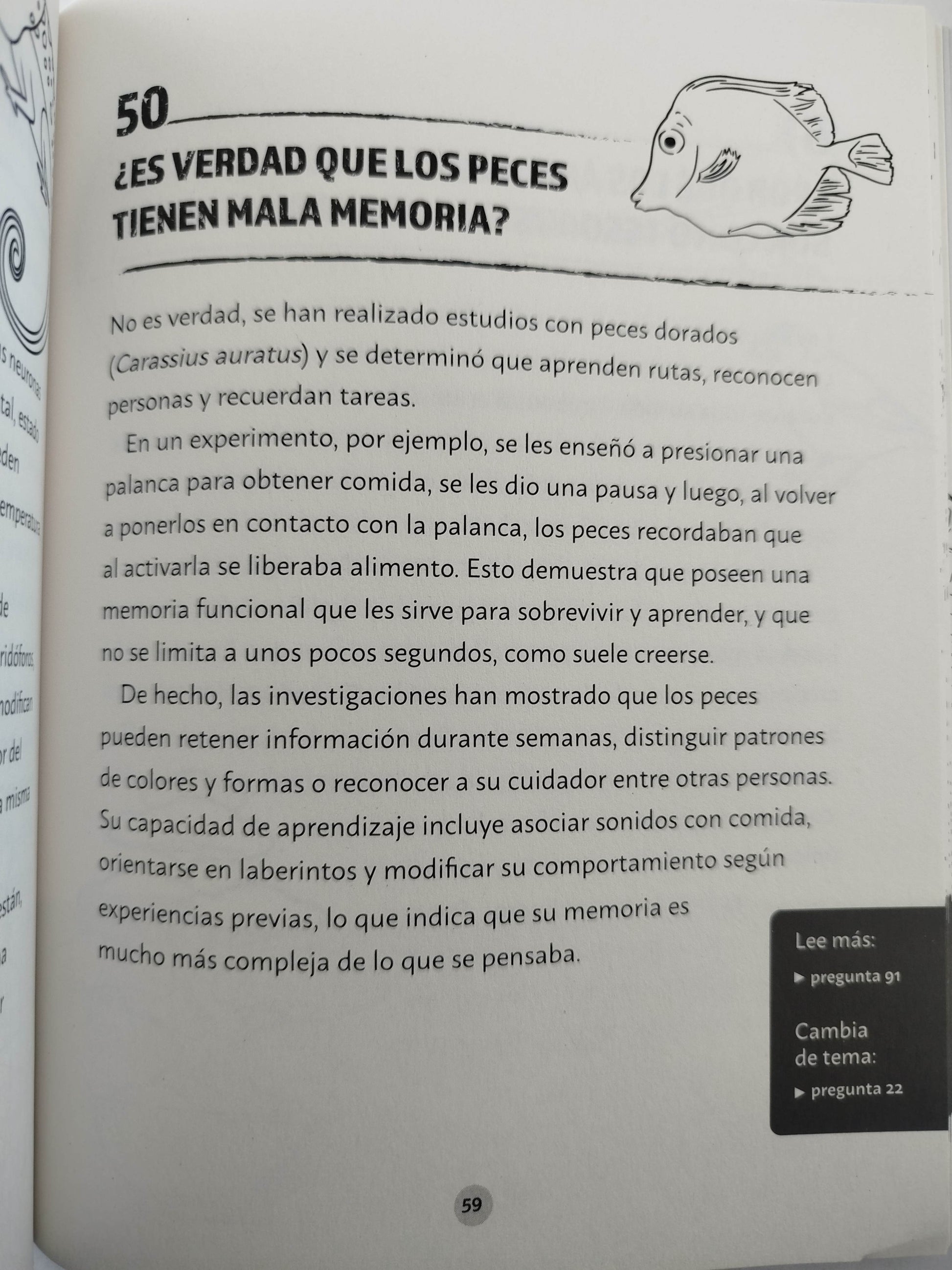 Preguntas salvajes para volarte la cabeza by Liliana López Kleine