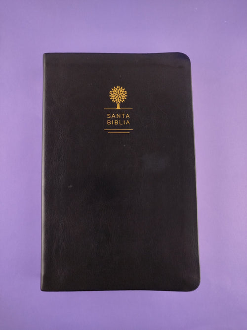Biblia rvr 1960 letra grande tipo agenda negra sin cierre borde dorado e imágenes de la tierra santa tamaño manual by Reina Valera 1960