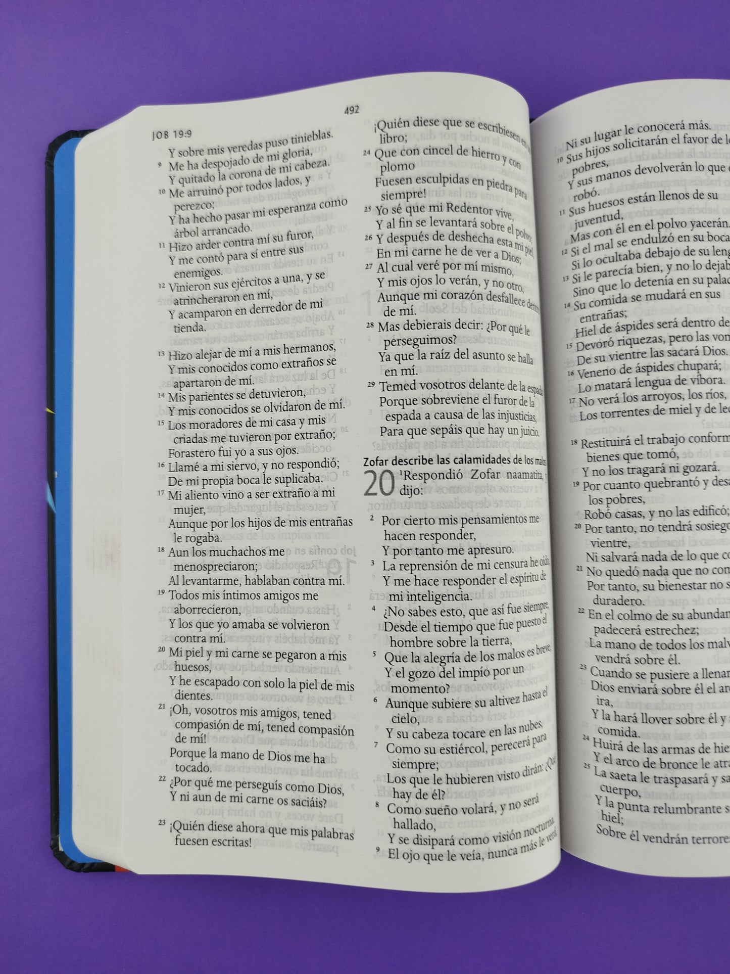 Biblia rvr 1960 nombres de Dios letra grande león de Juda tapa dura by Reina Valera 1960