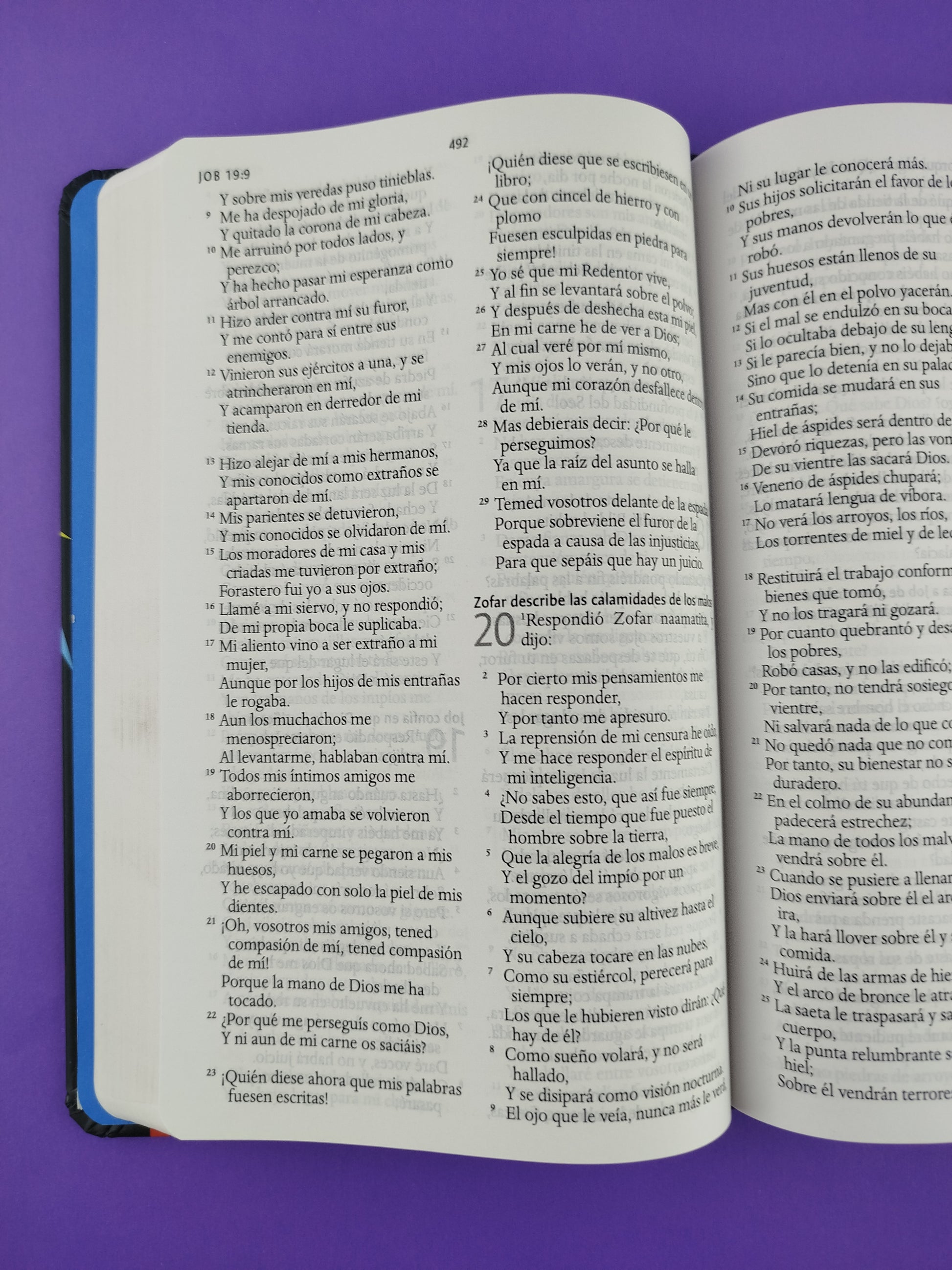 Biblia rvr 1960 nombres de Dios letra grande león de Juda tapa dura by Reina Valera 1960