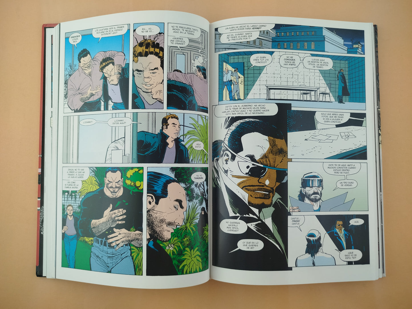 Castigador Zona de Guerra