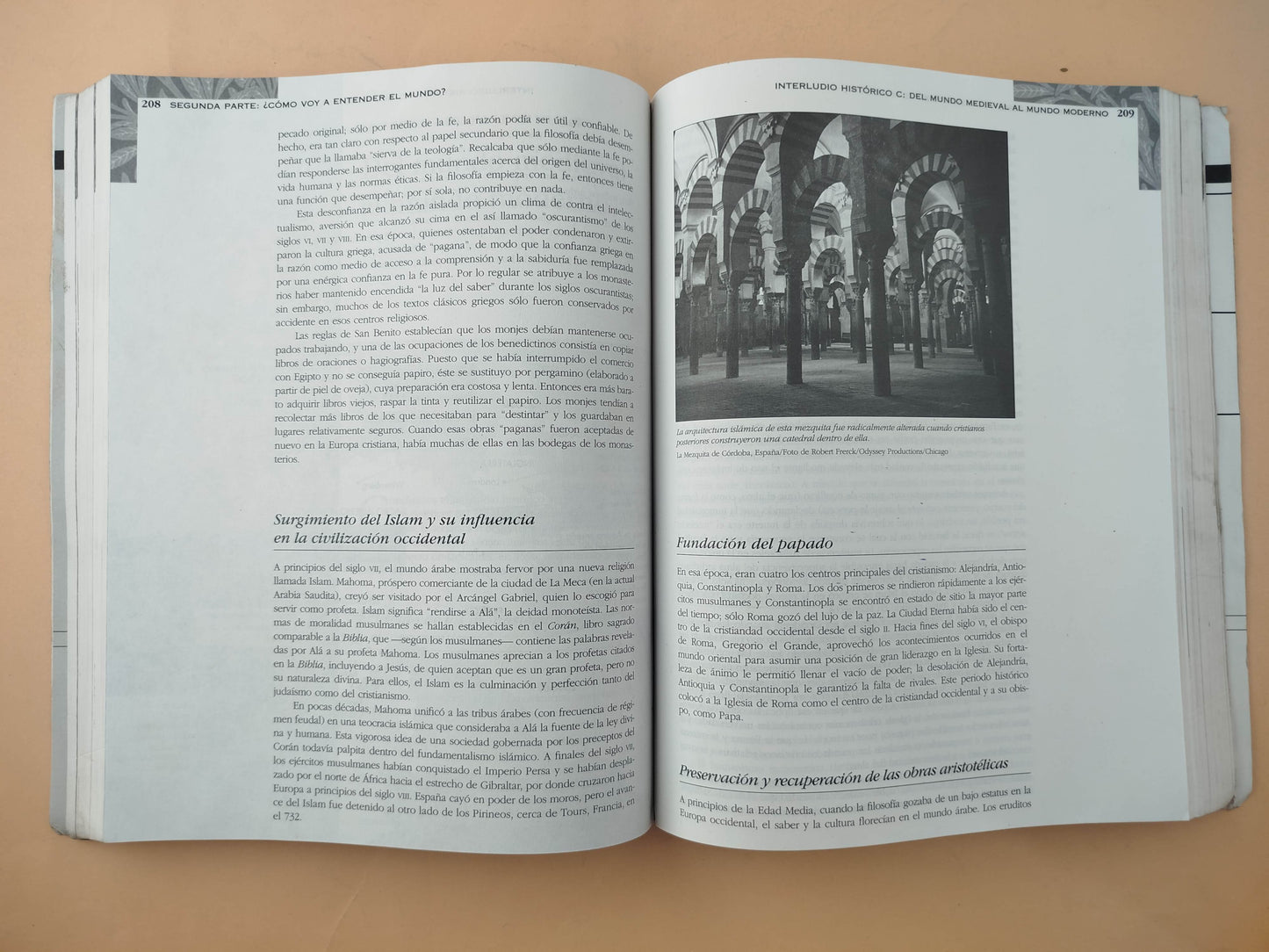 Raíces de la sabiduria