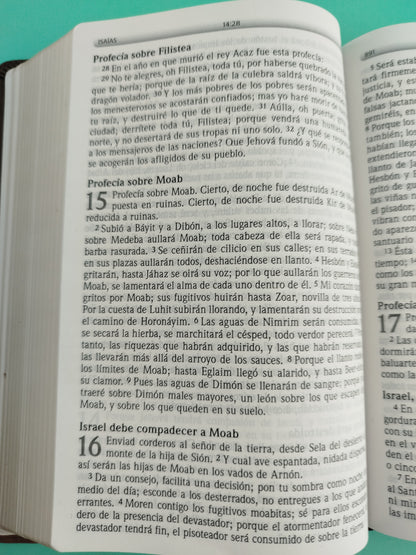 Biblia lectura fácil letra grande 1977 rvr