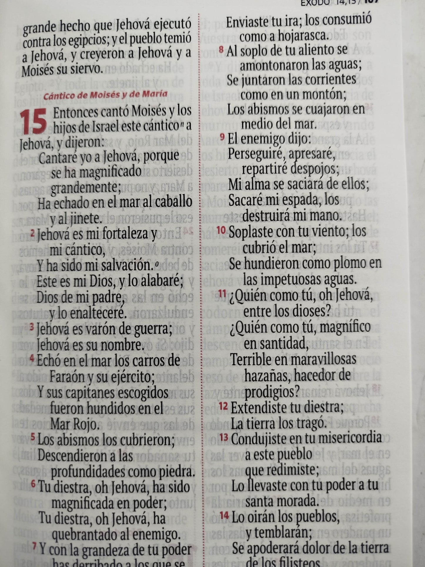 Biblia RVR 1960 letra grande blanca - arcoíris by Reina Valera 1960