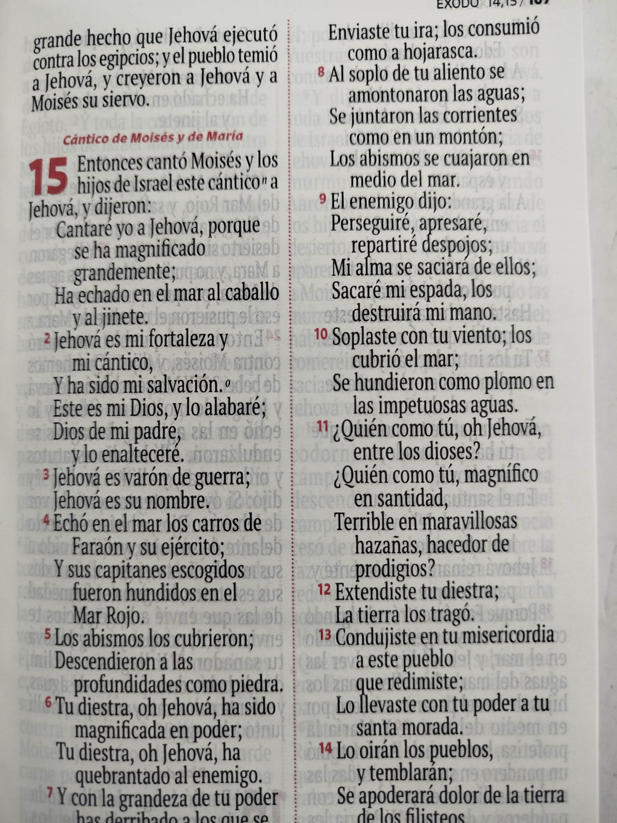 Biblia RVR 1960 letra grande blanca - arcoíris by Reina Valera 1960