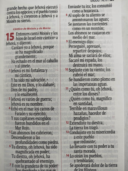 Biblia RVR 1960 letra grande blanca - arcoíris by Reina Valera 1960