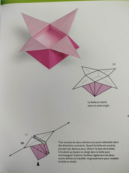 Leçons d'origami le livre pour devenir origamiste by Vanda Battaglia, Francesco Decio, Araldo De Luca