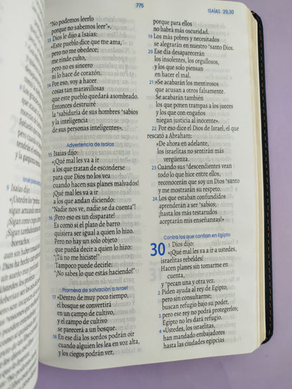 Biblia traducción en lenguaje actual 066  azul oscuro - café / canto dorado