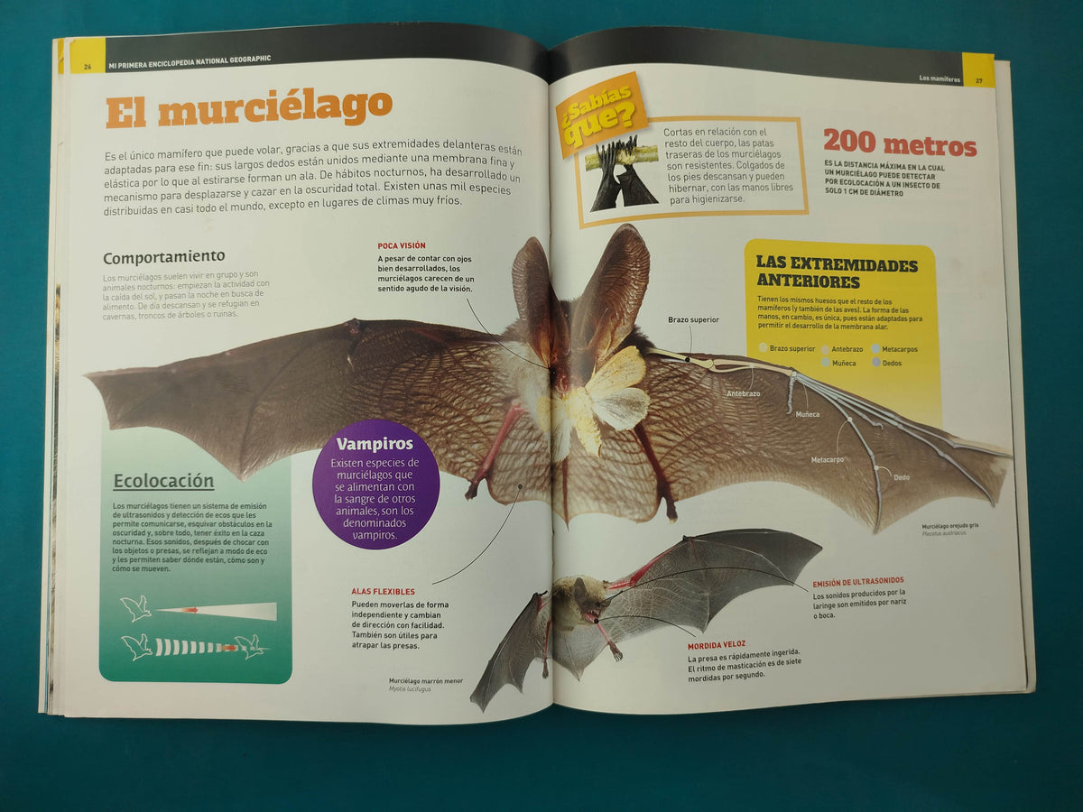 Mi Primera Enciclopedia Los Mamíferos by National Geographic Society