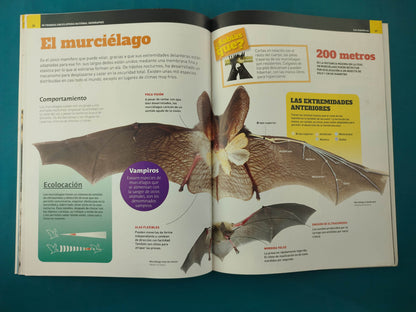 Mi Primera Enciclopedia Los Mamíferos