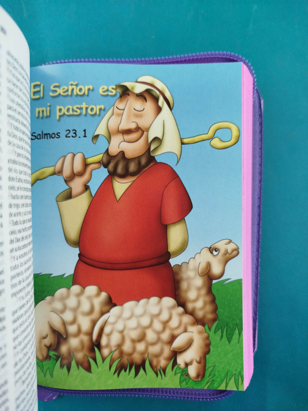 Biblia amigos por siempre rosado con estuche by Reina Valera 1960