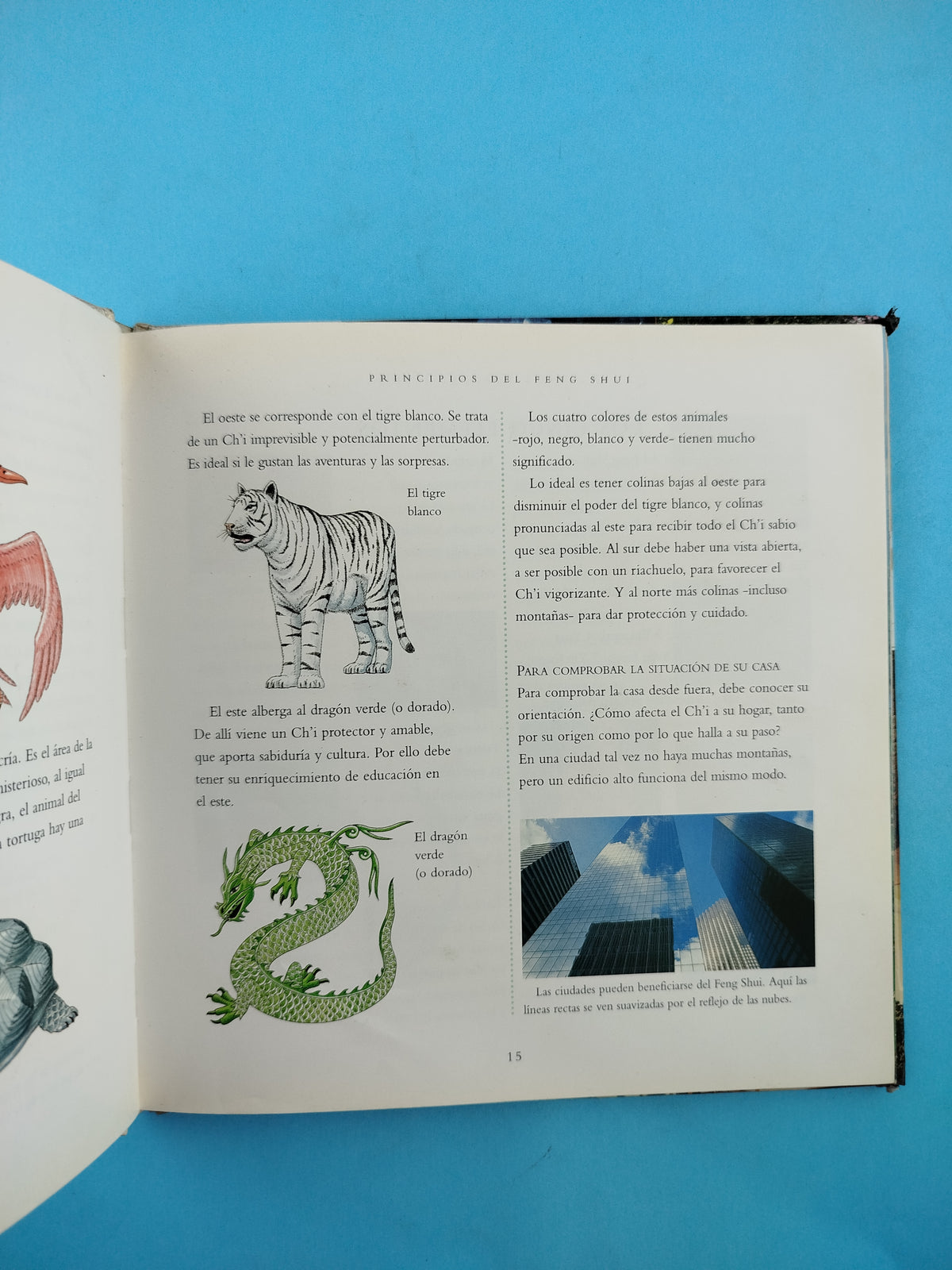 Vida y Salud Guía Práctica Del Feng Shui by Richard Craze