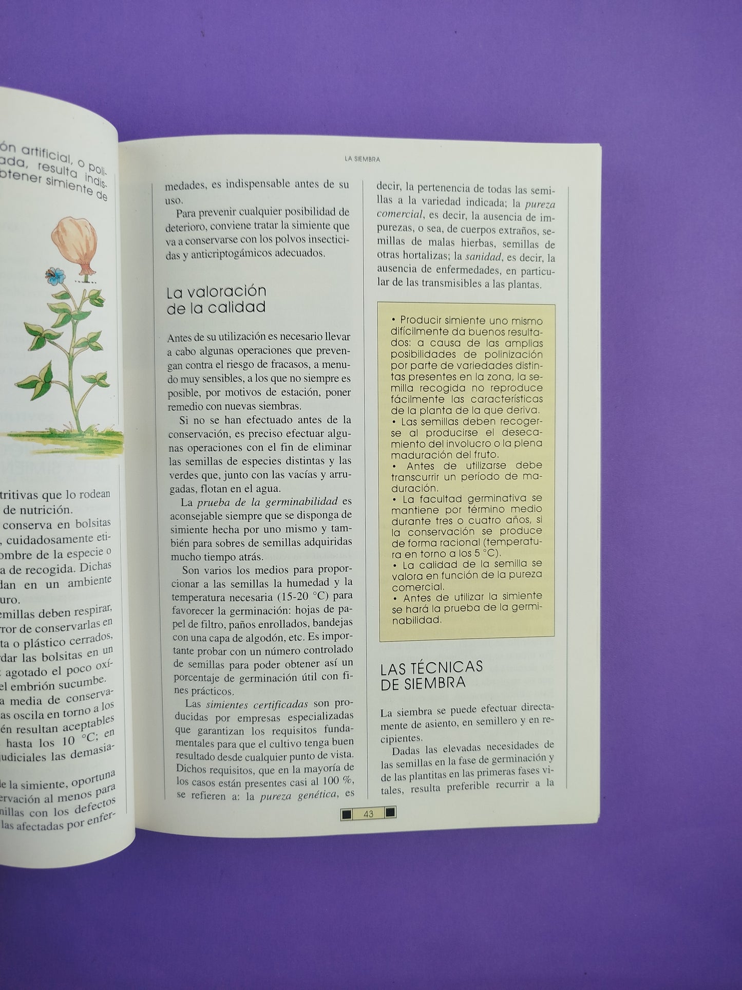 El Libro Del Jardín