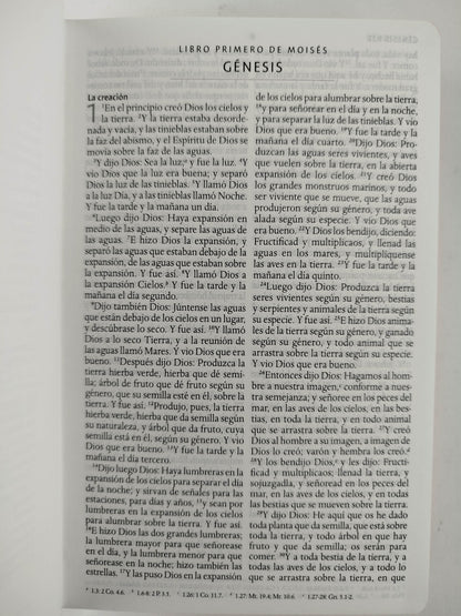 Biblia RVR 1960 letra grande tamaño manual, TD León de Judá marrón (Edición cantos pintados) by Cipriano Valera