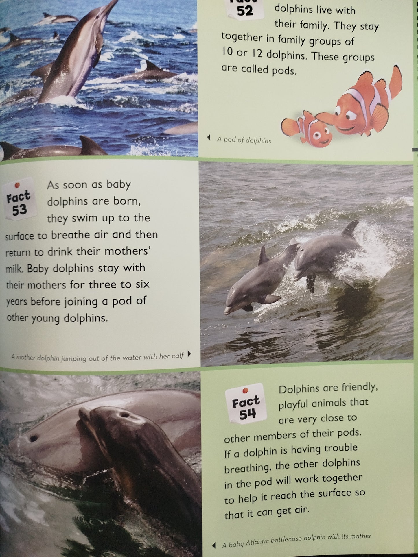 Disney My first Encyclopedia discover the wonders of the world by Varios