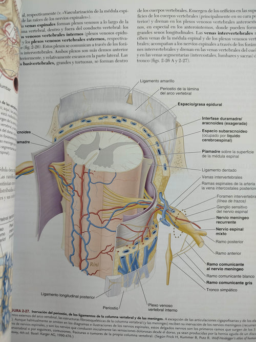 Anatomía con orientación clínica 9 edición by Keithl Moore