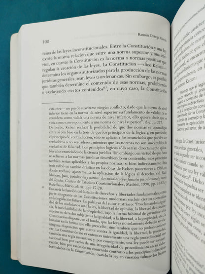Teoría del derecho y argumentación jurídica. Ensayos contemporáneos