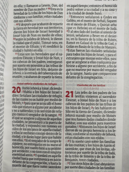 Biblia RVR 1960 letra grande lila - blanco by Reina Valera 1960