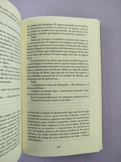 Un bello misterio
