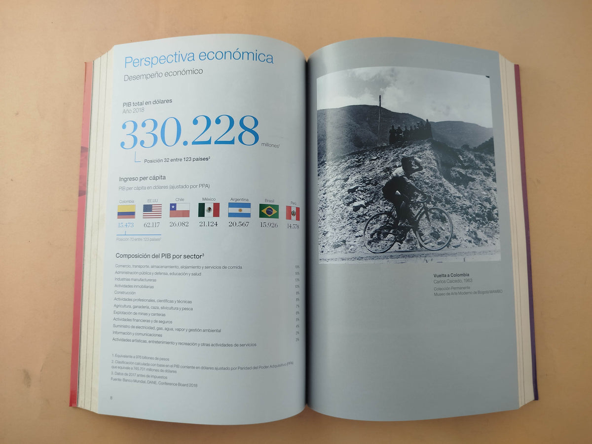 Reimaginando a Colombia by Varios Autores