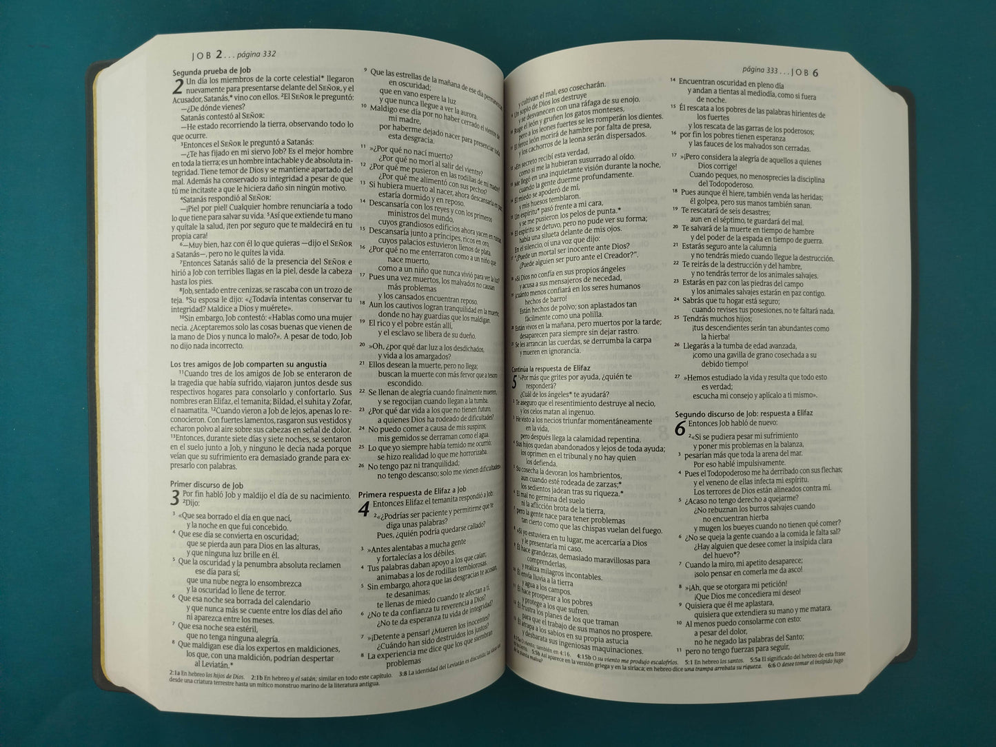 Biblia NTV Edición premio y regalo negra