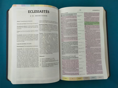 Biblia De Estudio Arcoiris tipo piel café-negro