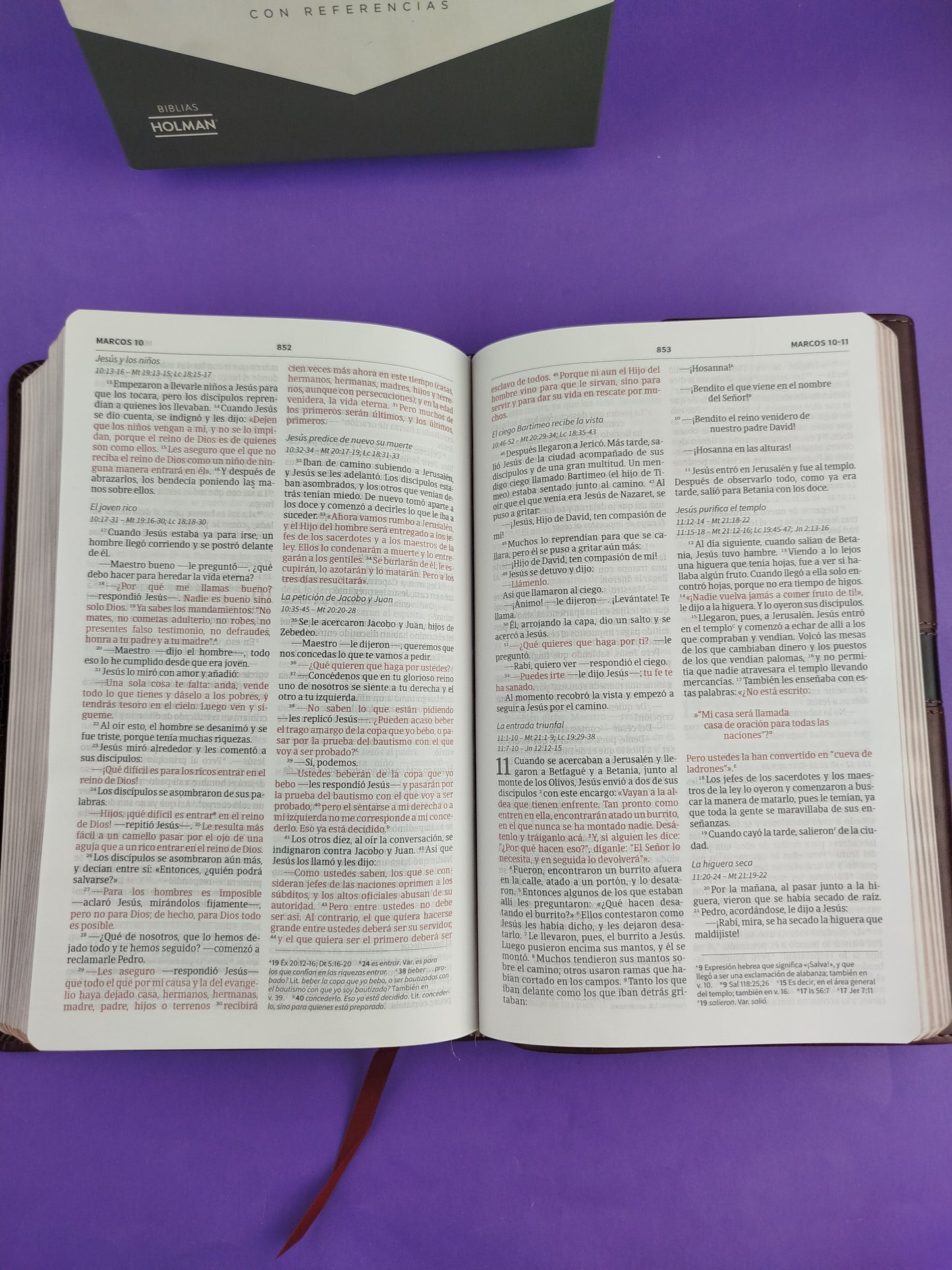 Biblia NVI ultrafina marrón similpiel y solapa con imán