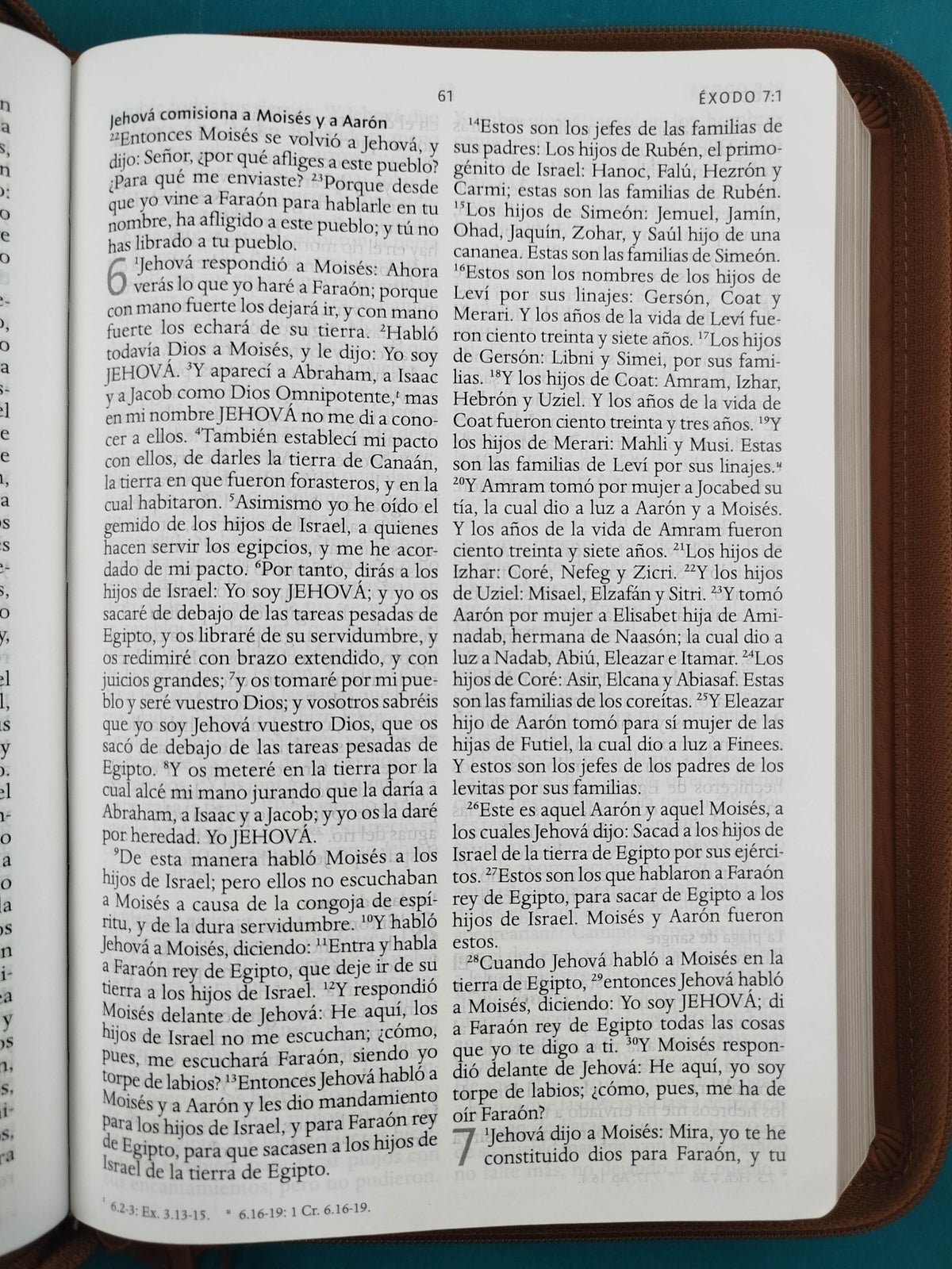 Biblia rvr 1960 letra grande tipo agenda marrón miel con cierre e imágenes de la tierra santa by Reina Valera 1960