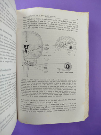 Elementos de Psicología