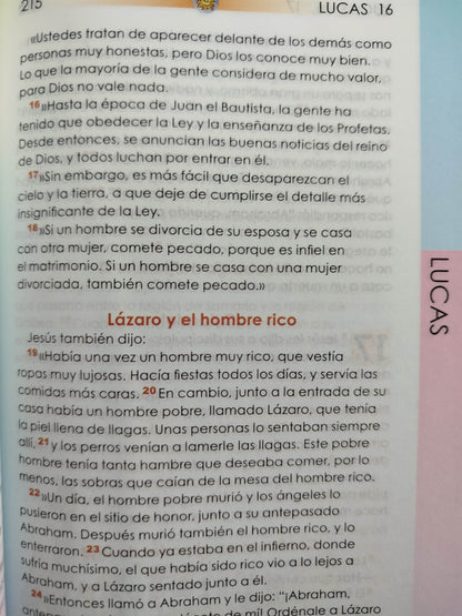 Nuevo testamento tapa dura by Varios