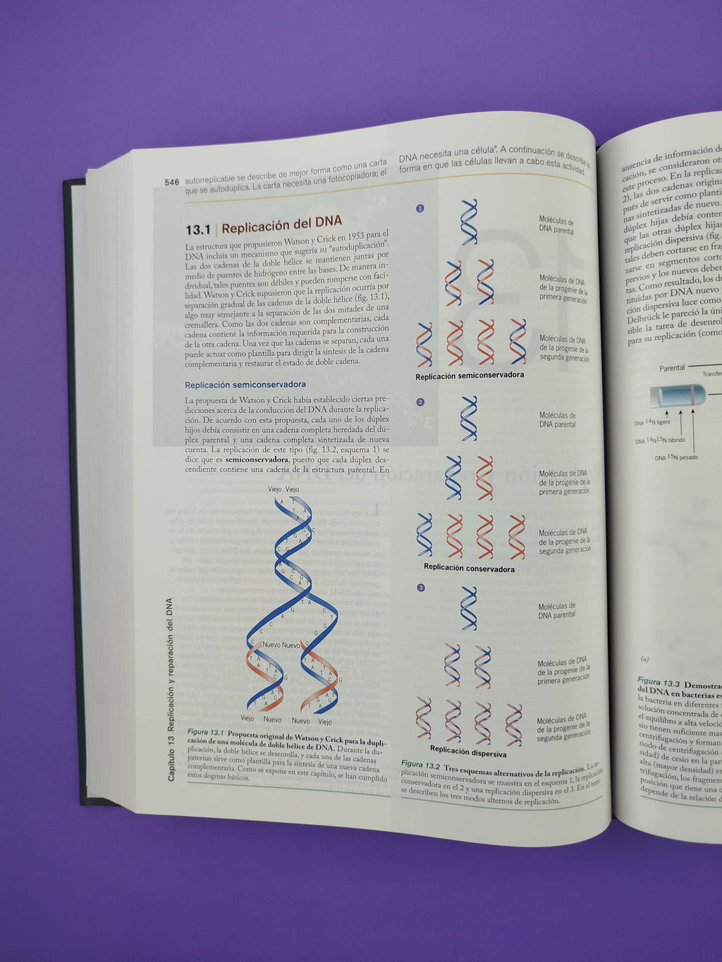 Biología celular y molecular conceptos y experimentos séptima edición by Gerald Karp