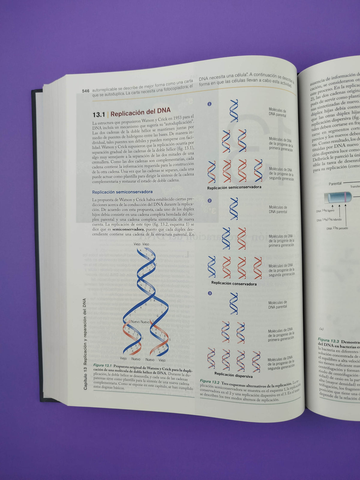 Biología celular y molecular conceptos y experimentos séptima edición by Gerald Karp