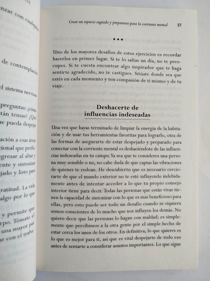 Viajar a Través de los Registros Akáshicos by Shelley A. Kaehr