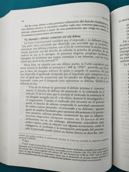 El juicio porceso penal segunda edición