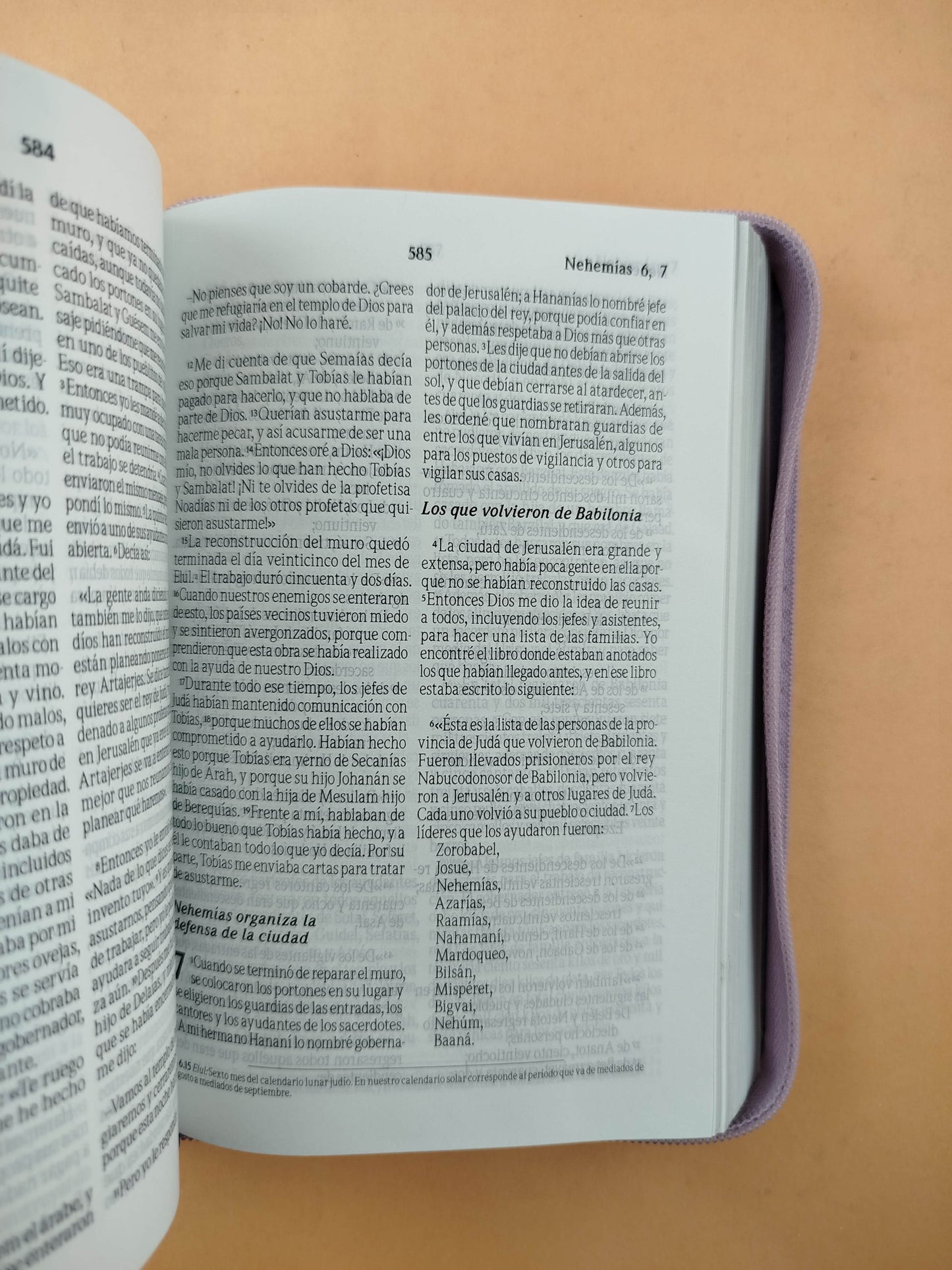 Biblia tla lila con estuche borde platiado