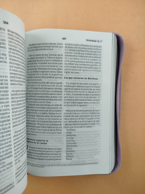 Biblia tla lila con estuche borde platiado by Traducción en Lenguaje Actual