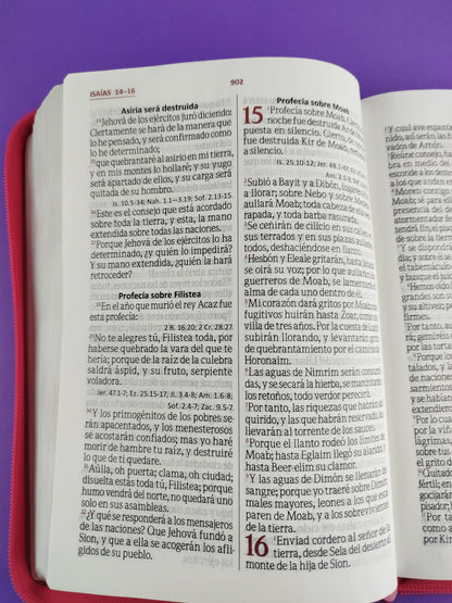 Biblia Letra Gigante Fucsia Rosa Sin Indice