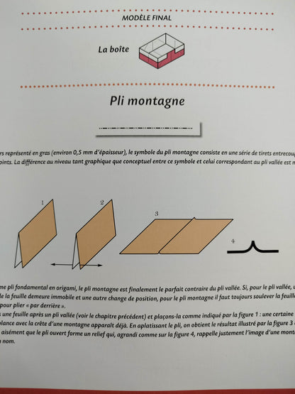 Leçons d'origami le livre pour devenir origamiste by Vanda Battaglia, Francesco Decio, Araldo De Luca