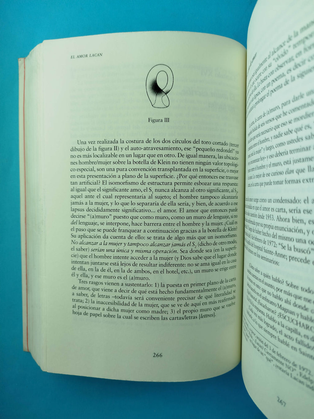 El Amor Lacan by Jean Allouch