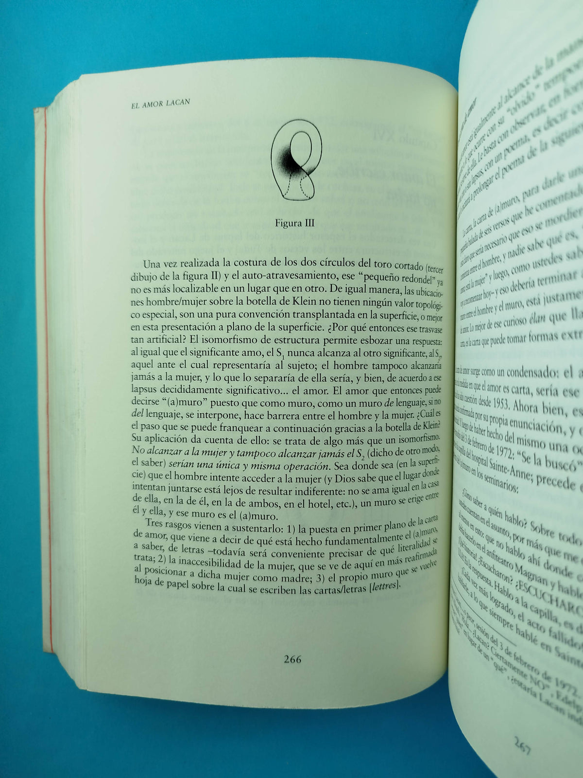El Amor Lacan by Jean Allouch
